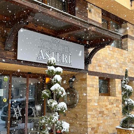 Hotel Asteri Bansko - Organic Food From Small Local Farms By Asteri Hotels Εξωτερικό φωτογραφία